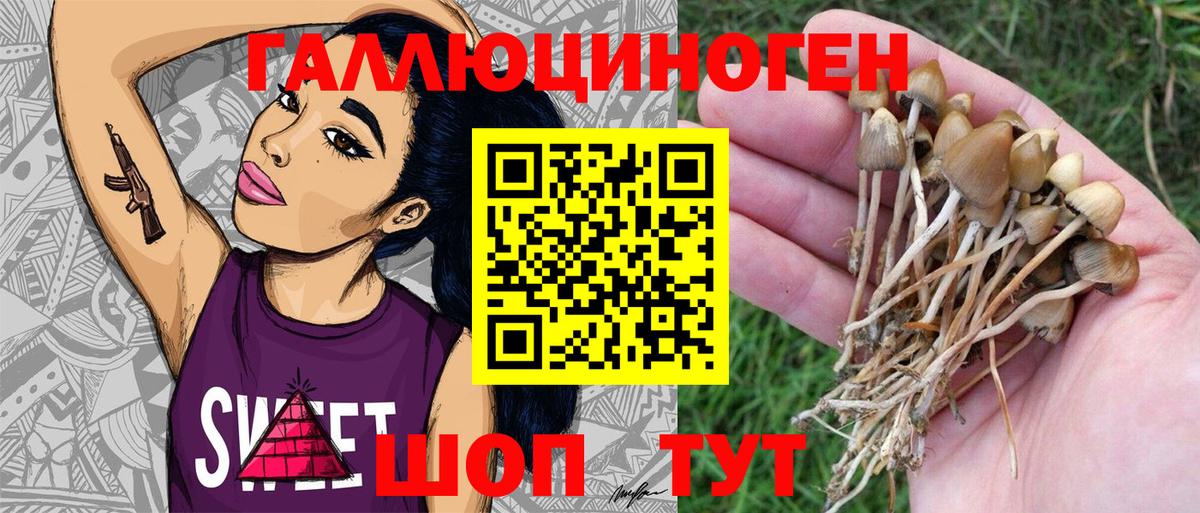 Псилоцибиновые грибы MAGIC MUSHROOMS Кимовск