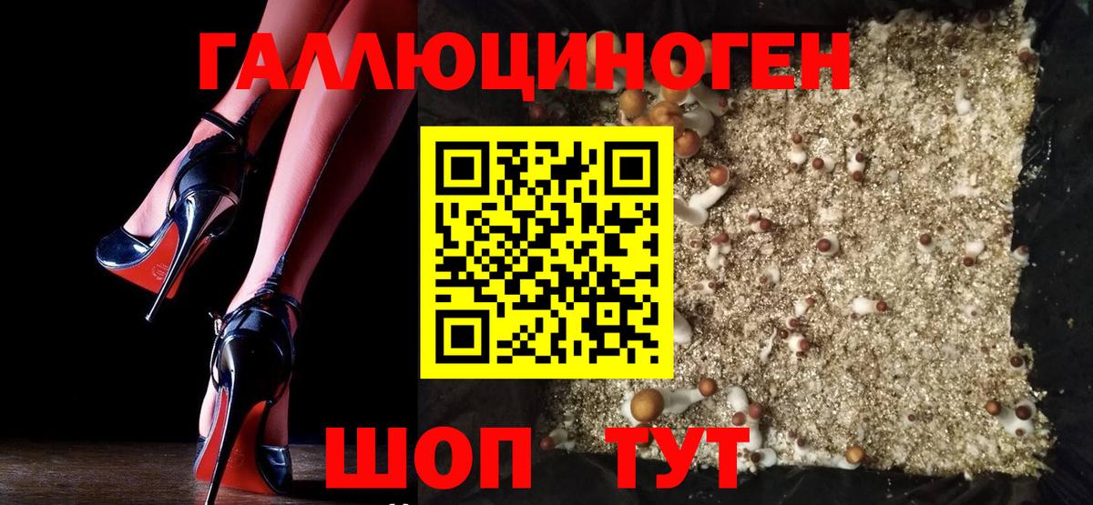 Кимовск  Галлюциногенные грибы мицелий  Вход с VPN 